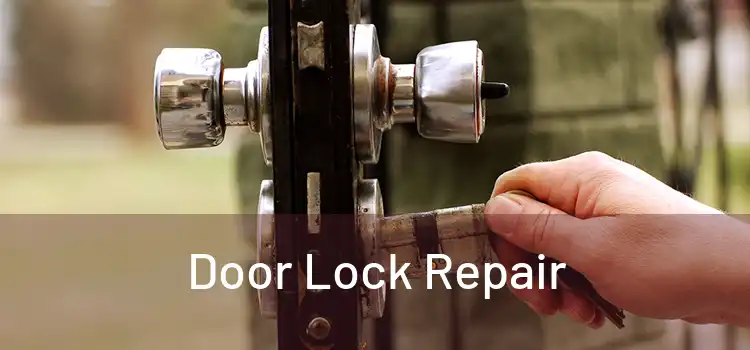 Door Lock Repair