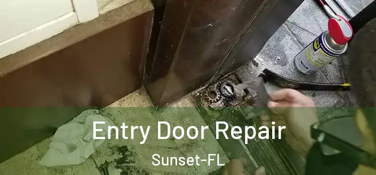 Entry Door Repair Sunset-FL