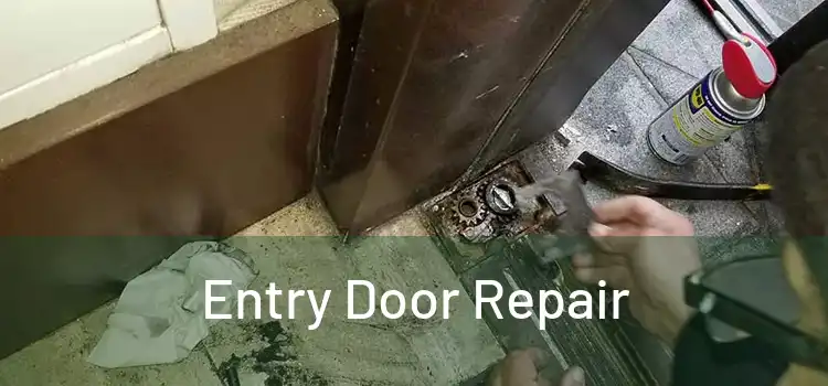 Entry Door Repair