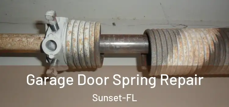 Garage Door Spring Repair Sunset-FL
